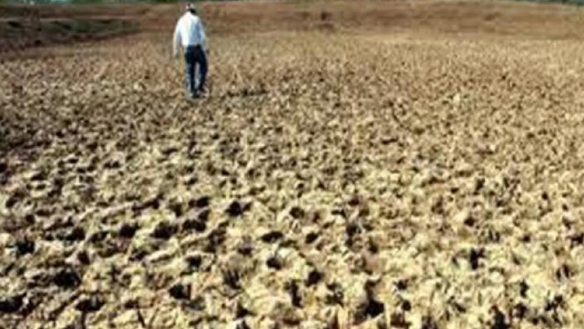 Prolongada sequía ocasiona el retraso en la siembra