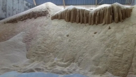 India abre el cupo para la harina de soja argentina