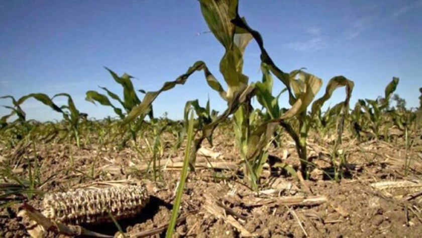 La sequía aumenta la participación de impuestos sobre la renta agrícola
