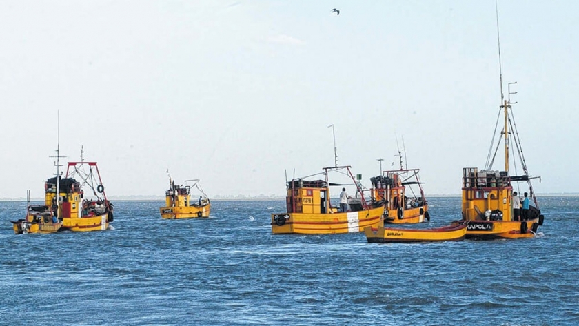 Promueven un sistema de trazabilidad para la pesca y la acuicultura