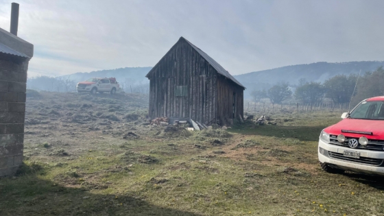 Con un importante despliegue de recursos, el Gobierno Provincial contuvo el incendio forestal en la zona de Río Pico