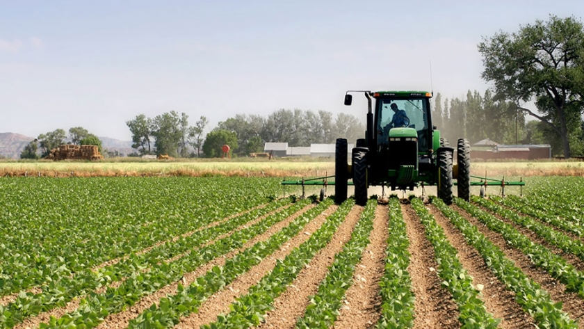 El futuro del agro en Colombia