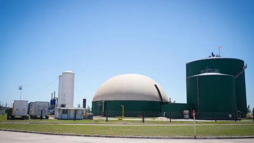 Bioetanol: oficializan el aumento de cupo y se suman tres plantas nuevas