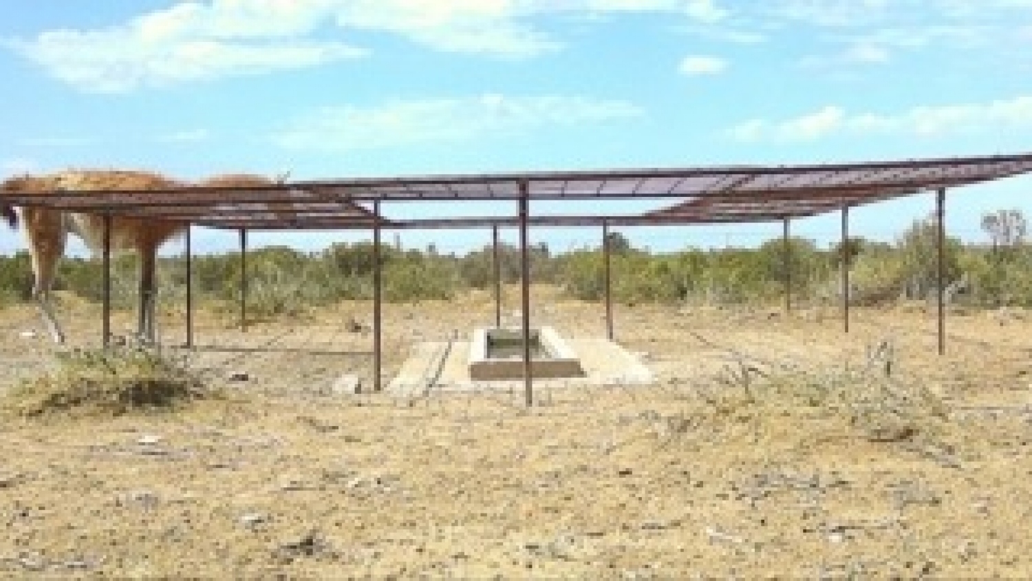 Guanacos y ovejas: un sistema para proteger el agua del ganado