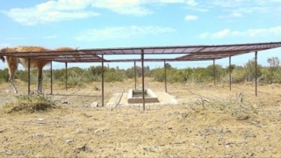 Guanacos y ovejas: un sistema para proteger el agua del ganado