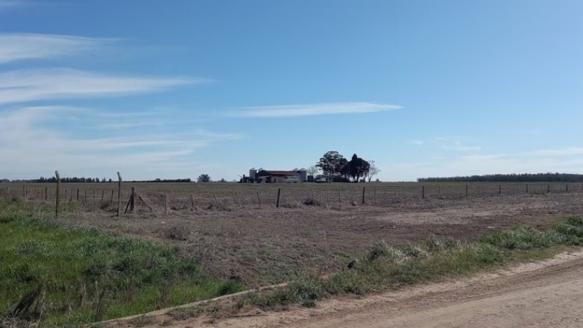 Mientras llega Santa Rosa, vientos polares y La Niña débil ponen en riesgo las lluvias de la campaña 2024/25