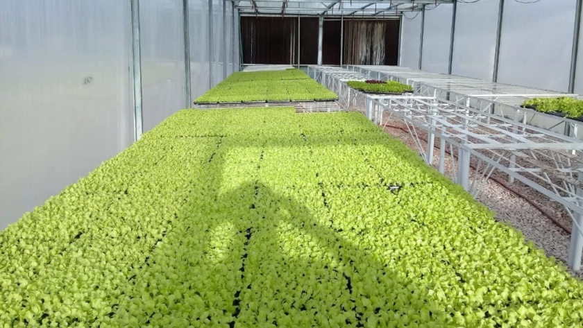 Se viene la XXIV Jornada Hortícola en el CERET