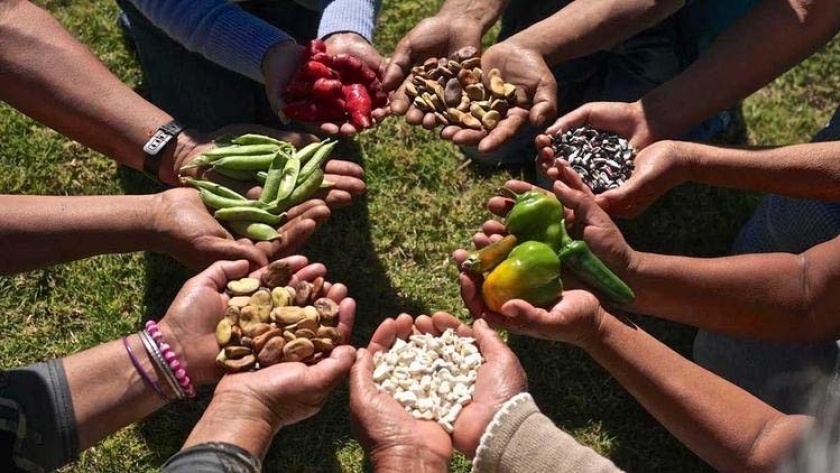 La ONU va por la transformación de los sistemas alimentarios mundiales