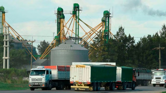 El costo del flete golpea al campo: transportar granos puede consumir hasta un tercio del ingreso del productor