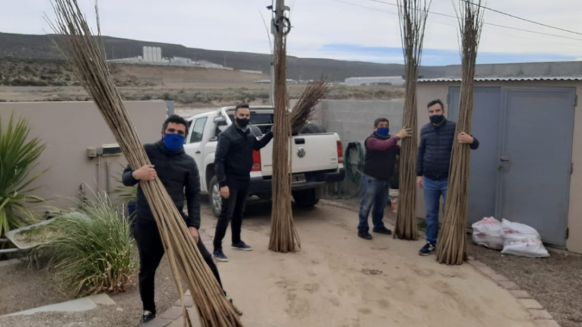 Comodoro Rivadavia: Cavaco entregó ejemplares de álamos para el plan forestal del barrio Los Arenales