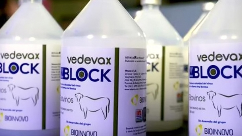 Diarrea Viral Bovina: la vacuna argentina se venderá en Perú