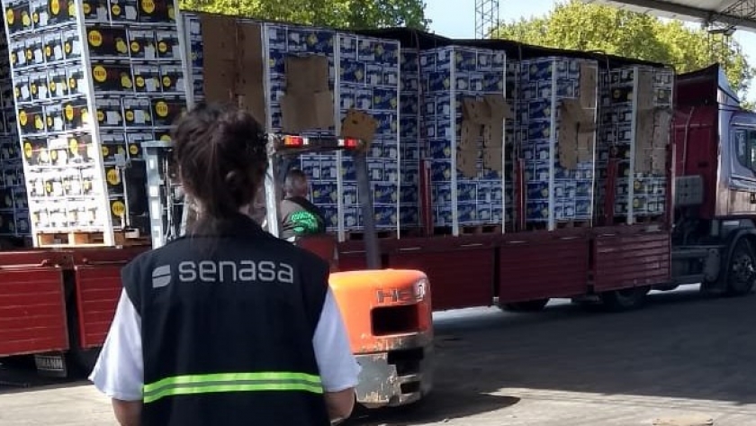 Adiós Clorpirifós: La campaña 2021/22 será la última en la que podrá usarse el insecticida