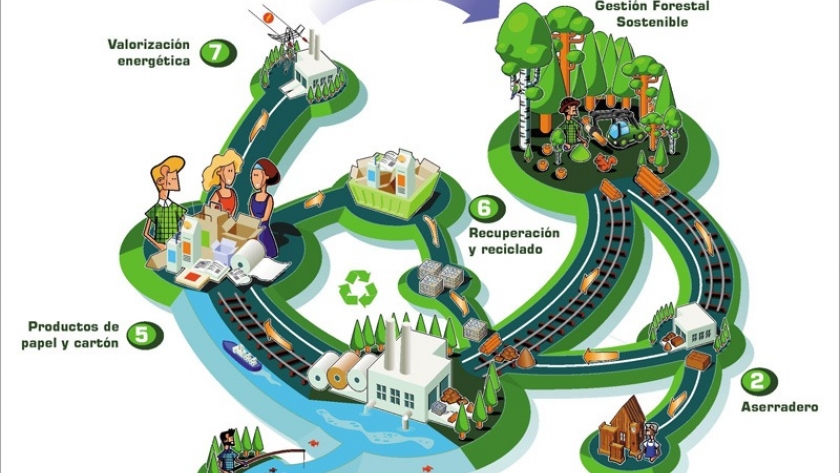 Por qué Sustentabilidad?