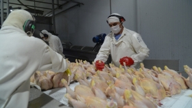 La Unión Europea vuelve a abrir sus puertas a la carne aviar argentina tras recuperar el estatus sanitario