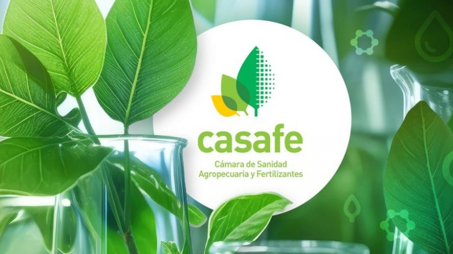 CASAFE renovó autoridades y ratificó su apuesta por la innovación y la agricultura sustentable