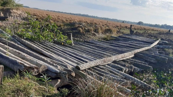 La Provincia construye un Puente en camino rural, entre Paraje Carbajal y Herlitzka 
