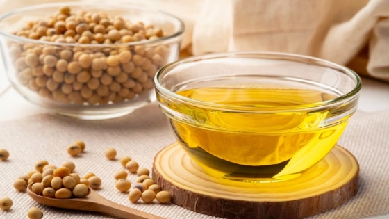 Argentina logró el mayor nivel de exportación de aceites del siglo y la India se afianza como destino dominante