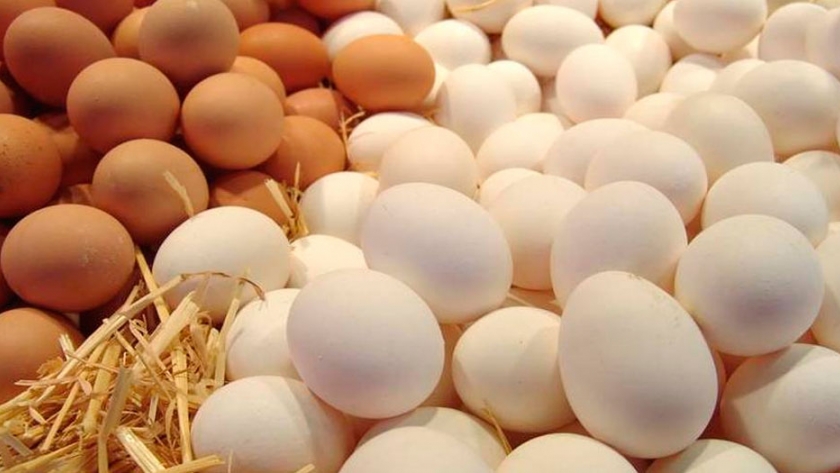 El desafío: conseguir más exportadores de huevos