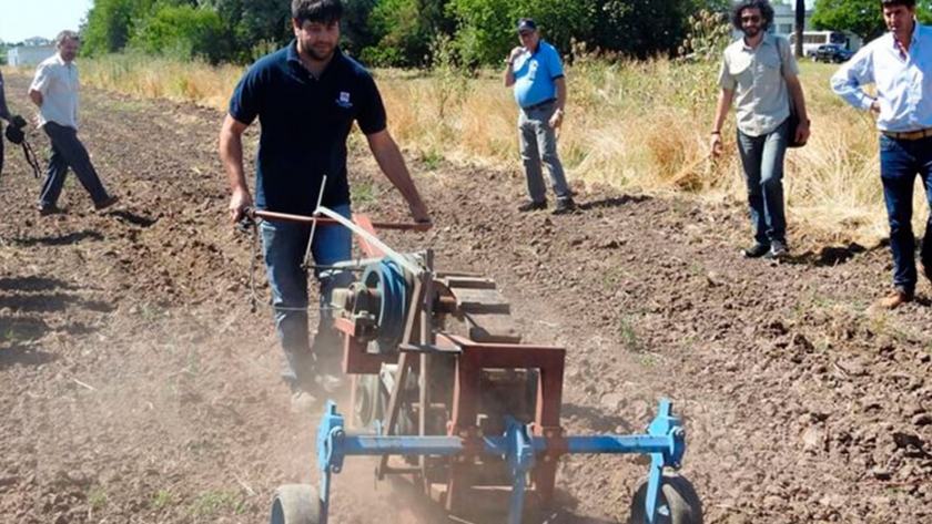 Así es Chango: el microtractor que creó el INTA para reemplazar la tracción animal en el campo