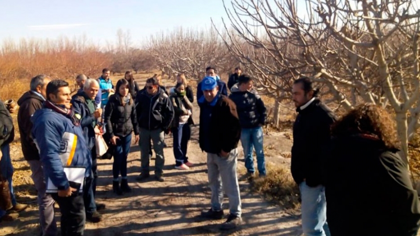 Sanidad del cultivo: así comenzaron las Jornadas Membrillos del Sol