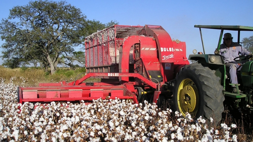 La Provincia abrió la inscripción al Registro Nacional de Productores algodoneros