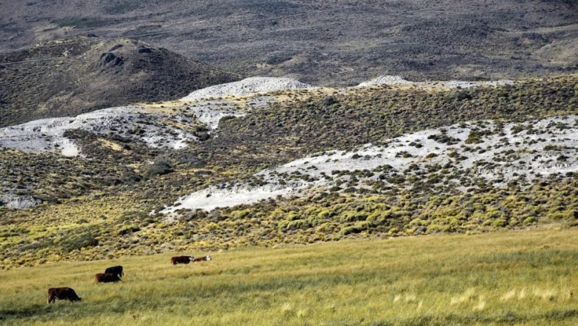 Sector ganadero enfrenta una nueva avanzada de La Pampa
