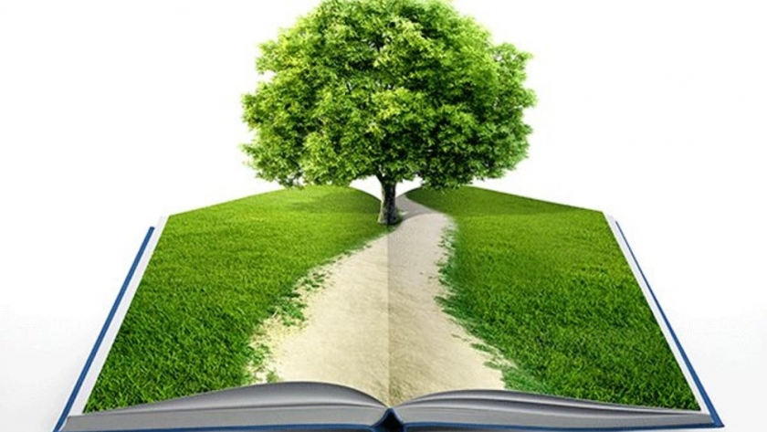 Se aprobó la Ley de Educación Ambiental Integral
