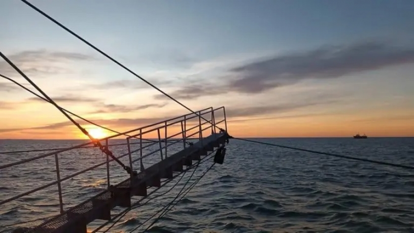 Langostino. Habilitaron a la pesca comercial la Subárea 15