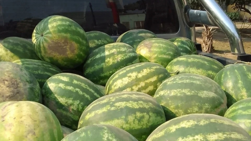 La Soberanía Alimentaria acercará la venta a los barrios San Antonio y San Juan Bautista
