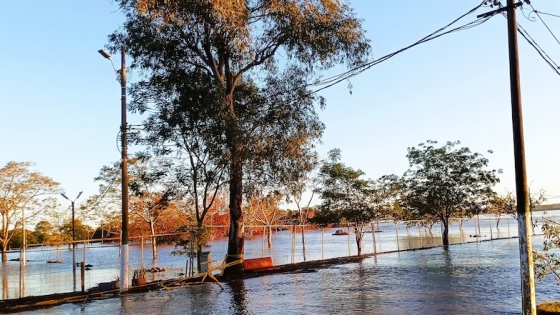 Emergencia hídrica en el Litoral: monitorean la crecida del río Uruguay en Corrientes