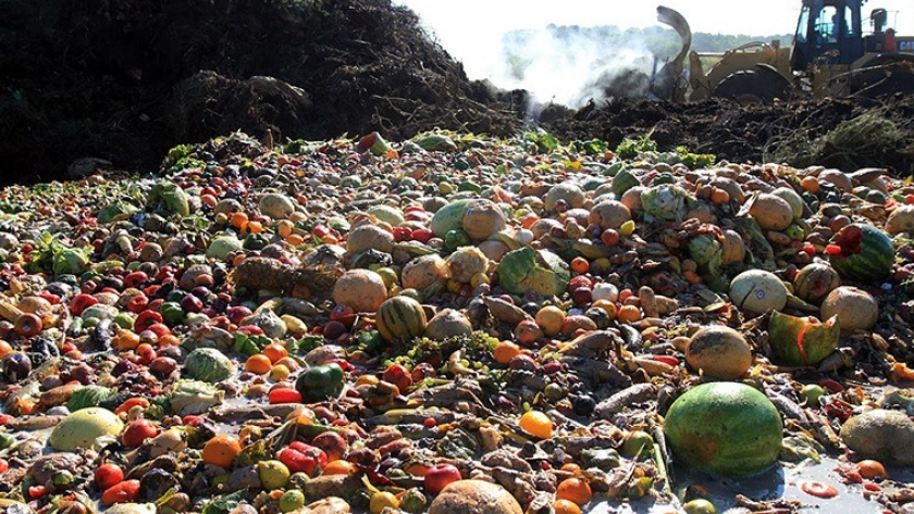 Alimentos: el gran desafío del desperdicio cero