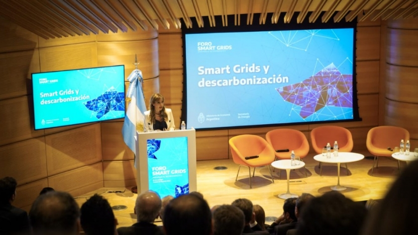 Royon presentó las redes inteligentes como herramienta del sistema eléctrico