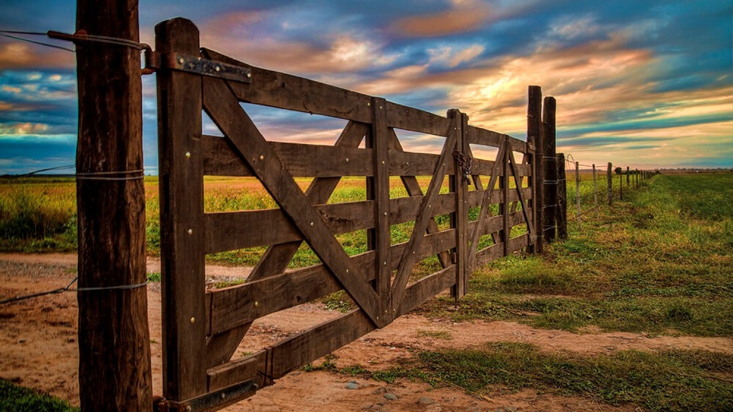 Campos en pausa: menos oferta y decisiones en espera marcan el pulso del mercado rural