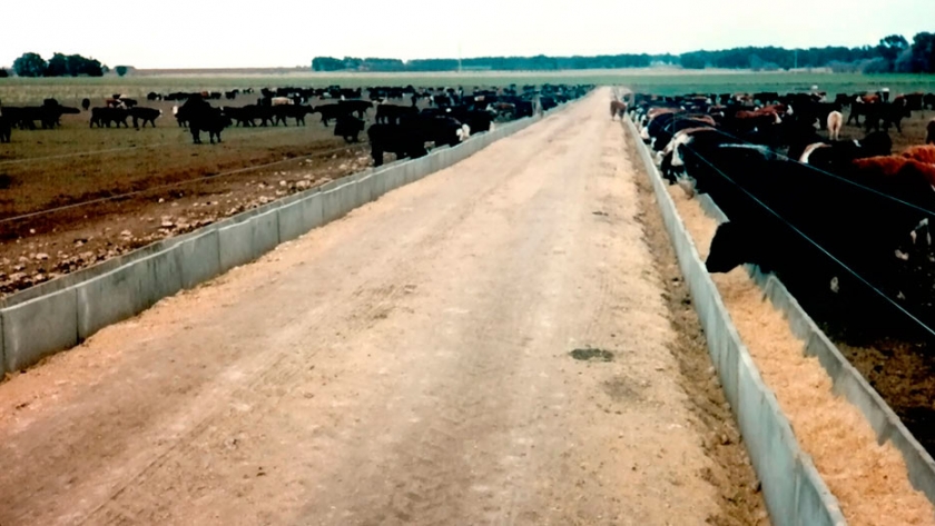 Comederos para engorde a corral