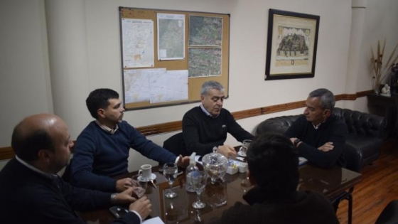 Tucumán refuerza los controles sobre el ingreso de huevos y busca proteger a los productores locales