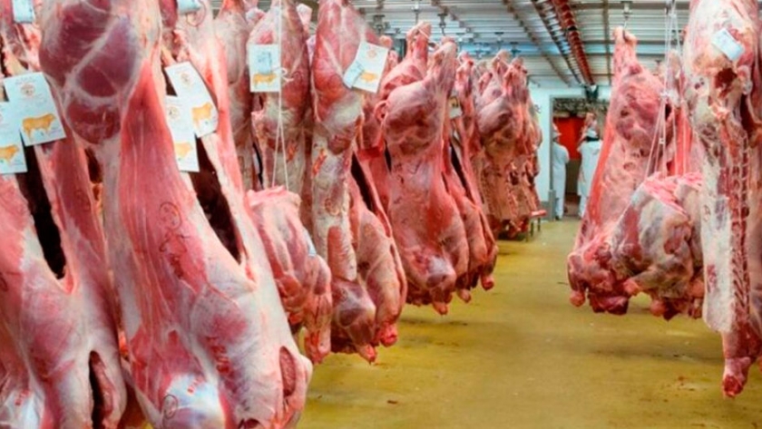 Exportaciones de carne ¿de quién depende alcanzar el millón de toneladas?