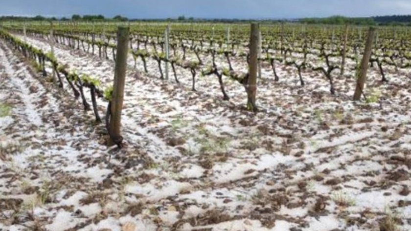 Fondo Compensador Agrícola: comenzó el pago a contratistas
