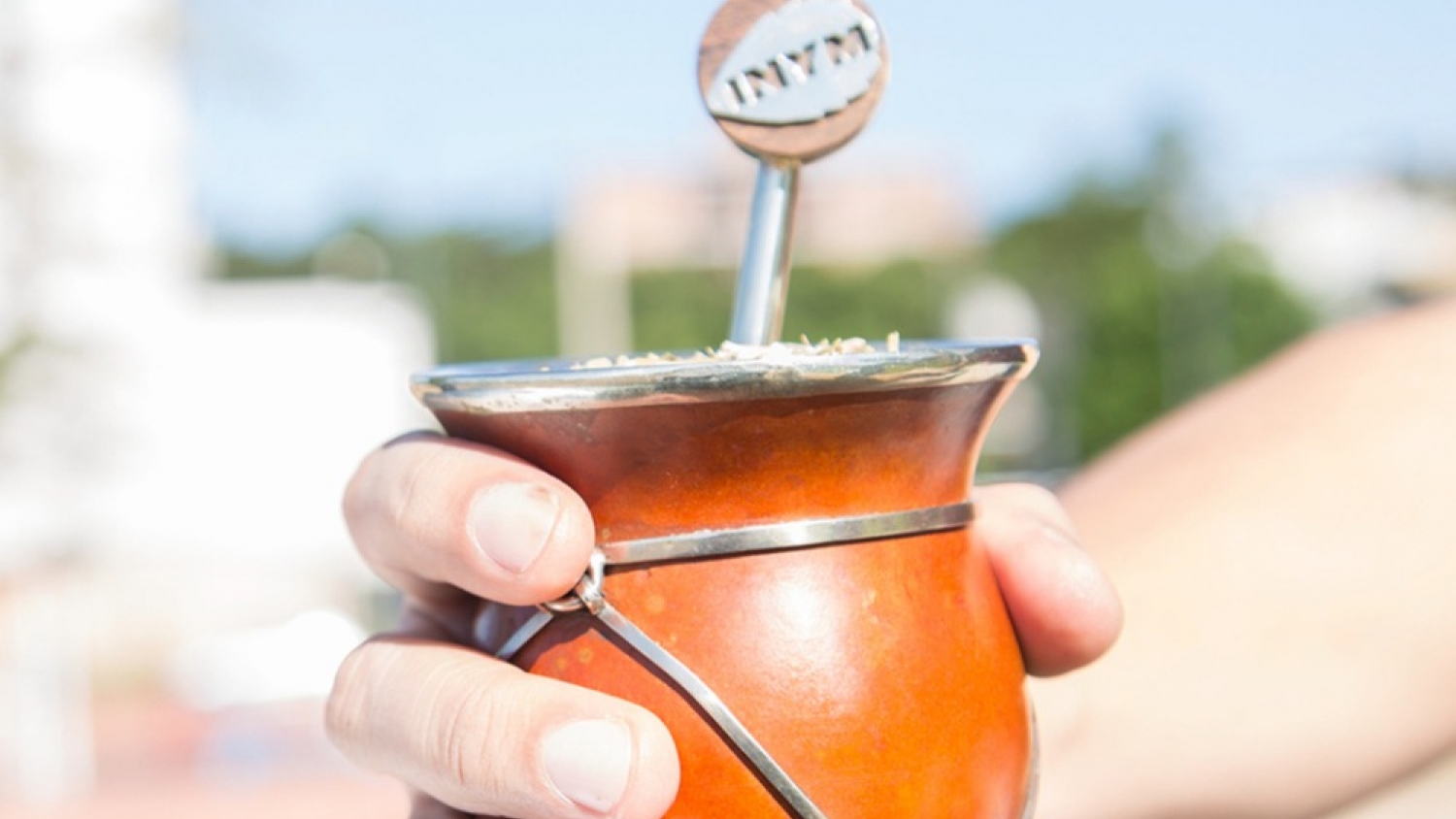 El consumo y las exportaciones de yerba mate arrancan el año con impulso: casi 25 millones de kilos vendidos en enero