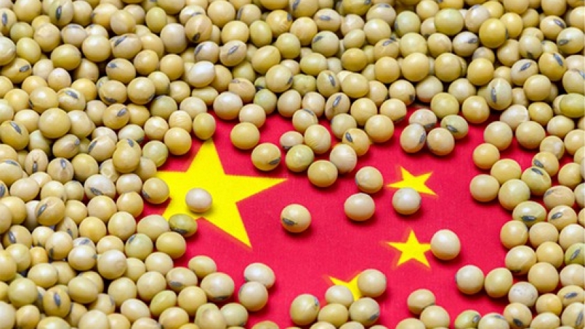 La demanda de ganado impulsa las importaciones de soja y granos de China