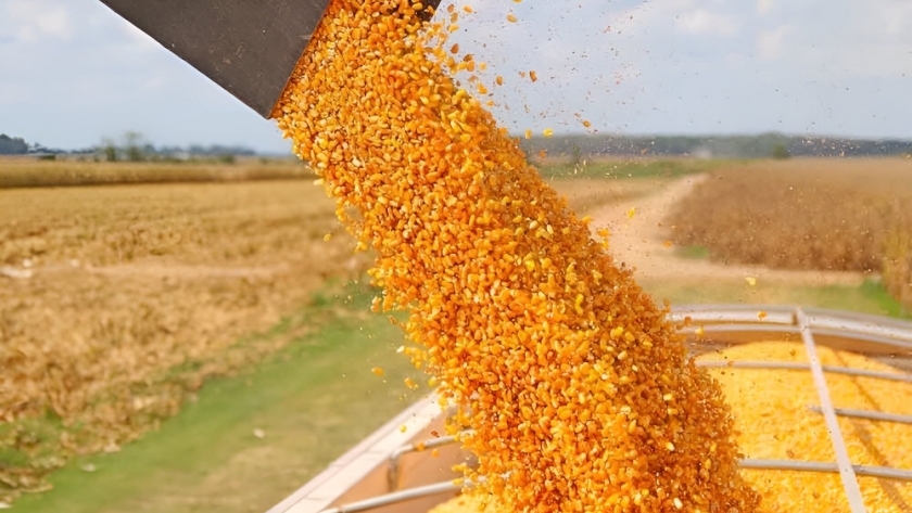 Récord de exportaciones vegetales impulsa la presencia global de Argentina