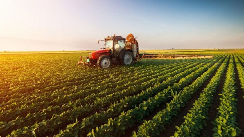El presidente de Sudáfrica anuncia un hito en la reforma agraria