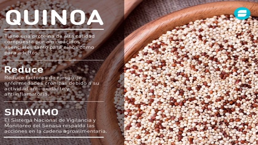 El milenario legado nutricional y los beneficios del consumo de la quinoa