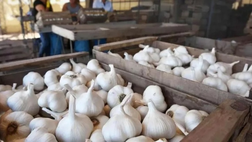 Mendoza defiende sus exportaciones de ajo a Brasil