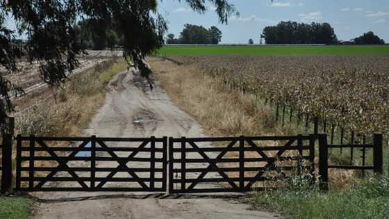 La escasez de oferta y una demanda sostenida impulsan una suba gradual en los precios de los campos