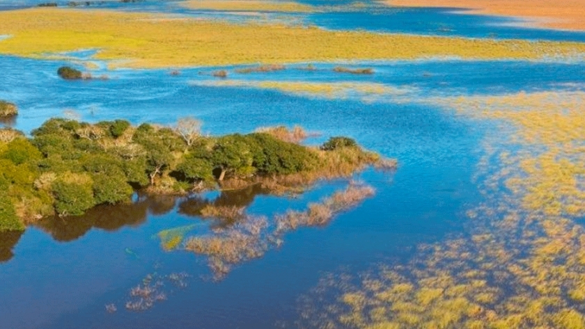 Un viaje al corazón de los Esteros del Iberá