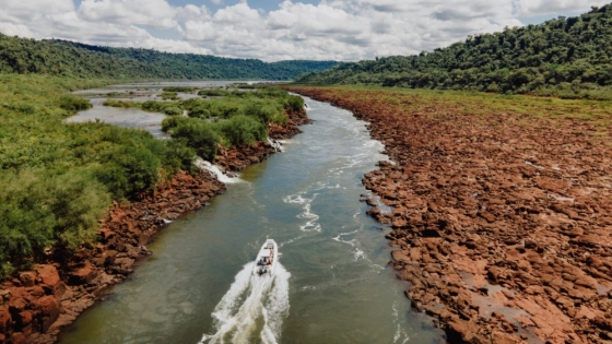 Las 5 selvas inexploradas de Misiones que debes visitar además de las Cataratas