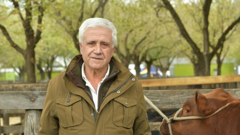 La ganadería argentina recupera su impulso: genética, jóvenes y previsibilidad marcan el rumbo