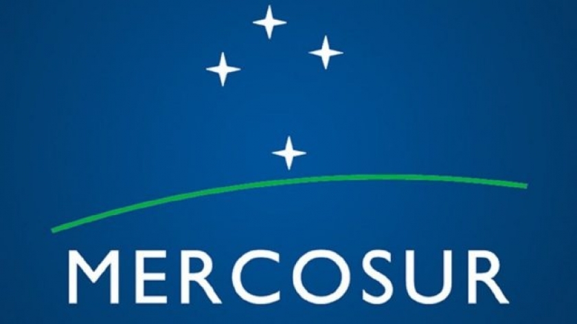 Mínima caída del Novillo MercoSur