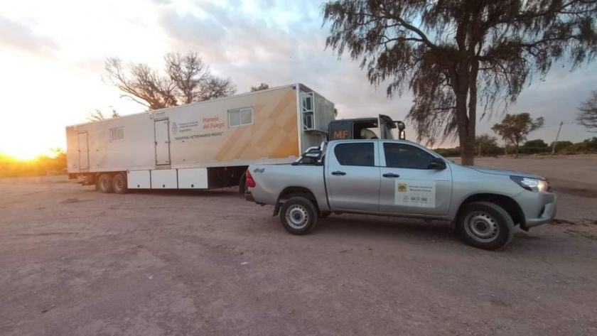 Despliegan un amplio operativo para la fauna afectada en el Canal de la Patria