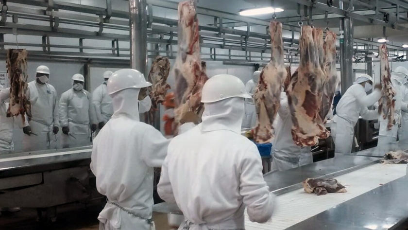 Una buena para los trabajadores de la carne
